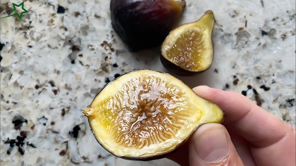 Recent Photos of Zumwalt Fig Fruit