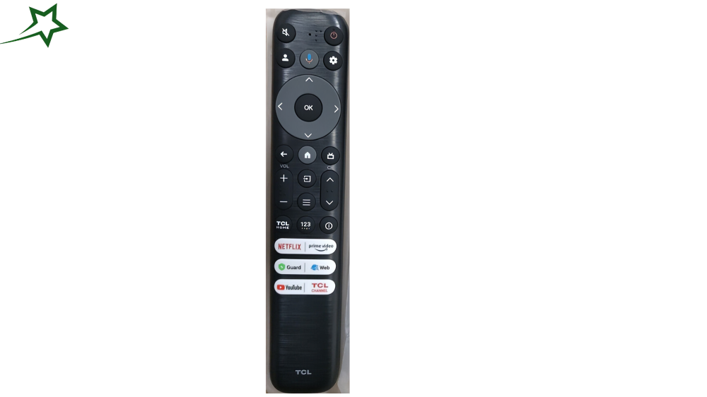 RC813 FMGB Remote Manual