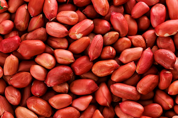 GEB Red Skin Peanuts