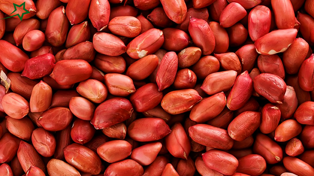 GEB Red Skin Peanuts