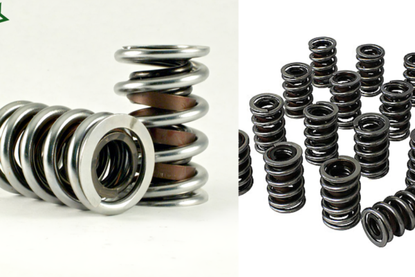 Valve Springs for Howards Cam CL240961-10